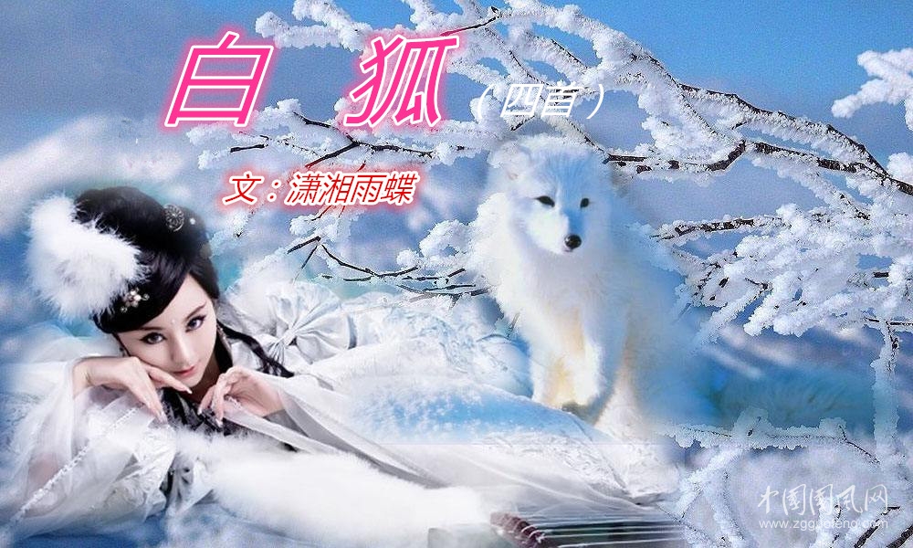 白狐（四首）（文/潇湘雨蝶）