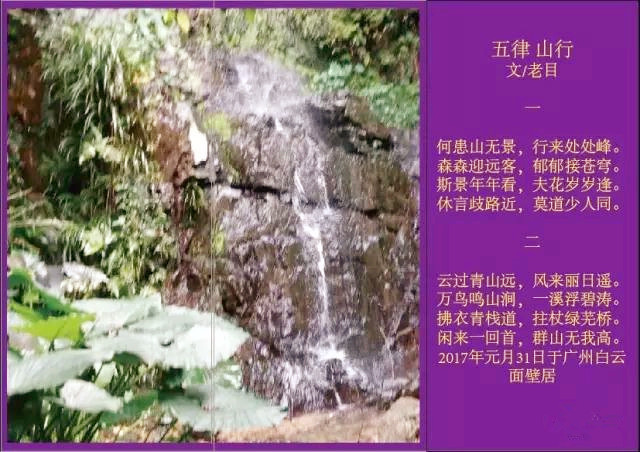 透过南京大屠杀看曾被遗忘的历史