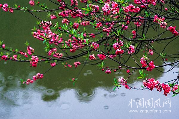 致三月：希望
