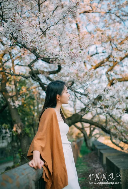 QQ截图20180329203200.png