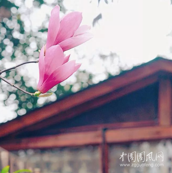 写给冬天，写给你