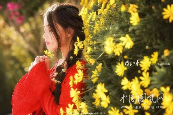 QQ截图20180503171743.png