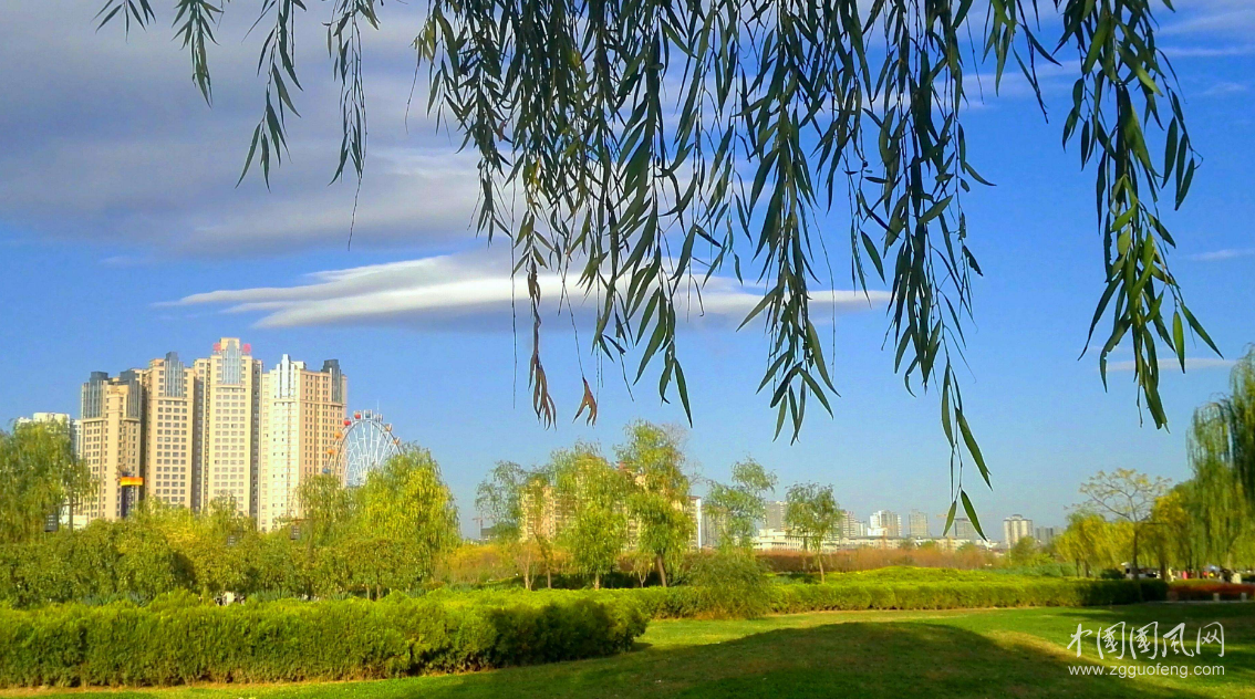 大 美 咸 阳 湖