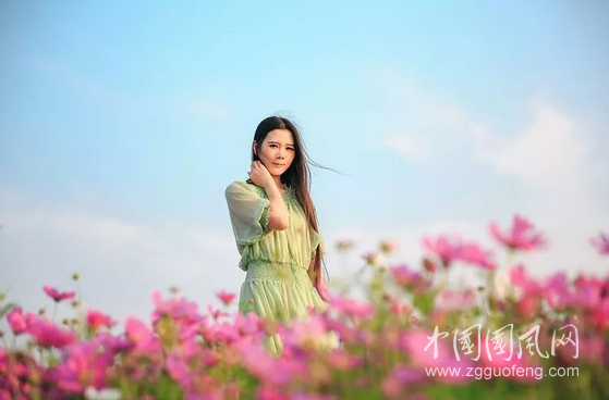  生如夏花之绚烂