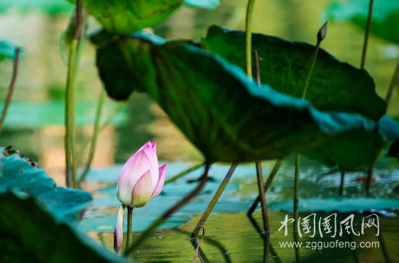 喜欢和你在一起，因为你有正能量