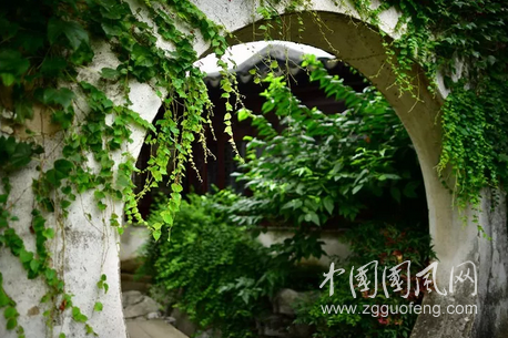艺圃，许我一段慢时光