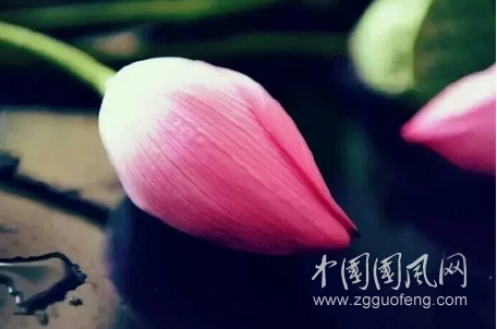 QQ截图20180516180823.png
