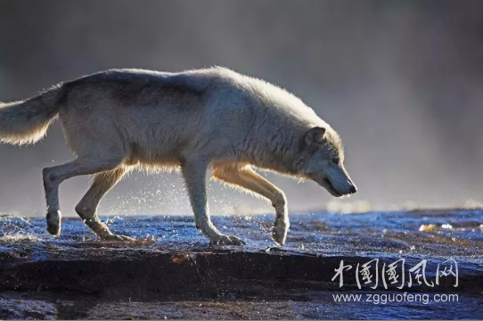 QQ截图20180516174929.png