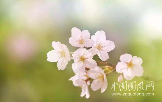 QQ截图20180517161934.png