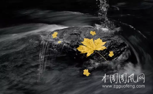QQ截图20180518174406.png