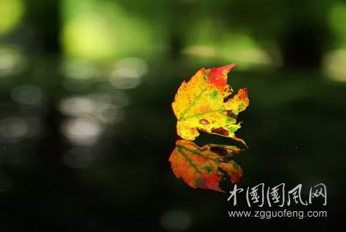 QQ截图20180518174422.png