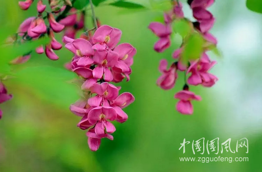 QQ截图20180518185430.png