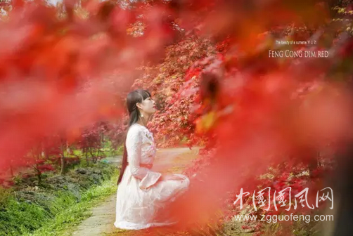 QQ截图20180517164356.png