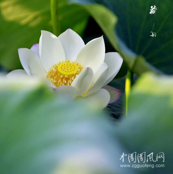 QQ截图20180521141308.png