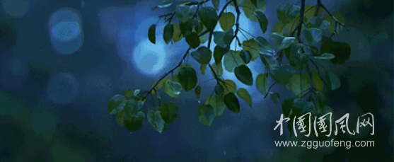  花期诗雨