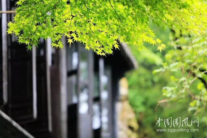 一念缘起，一念缘灭