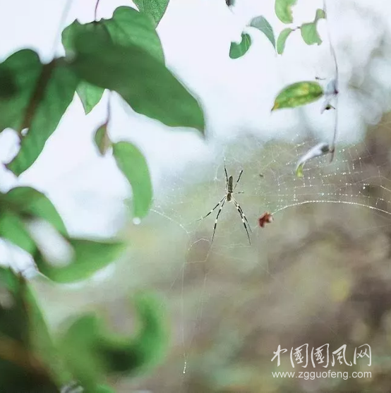 QQ截图20180603193732.png