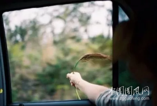 QQ截图20180603193351.png