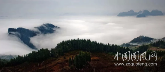 QQ截图20180604195406.png