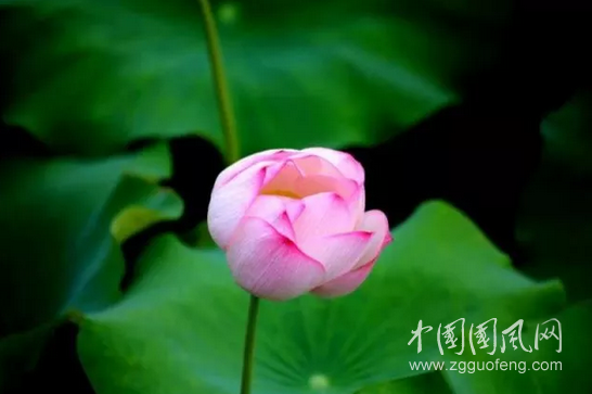 QQ截图20180605174012.png