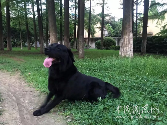 QQ截图20180614174143.png