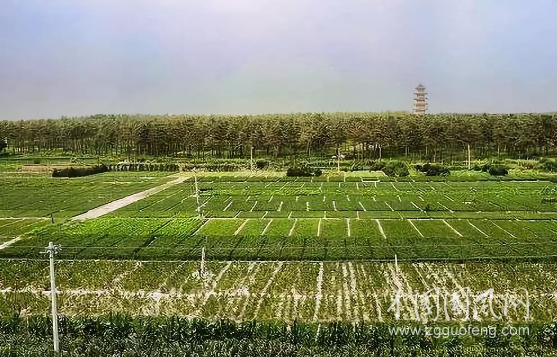 QQ截图20180615191159.png