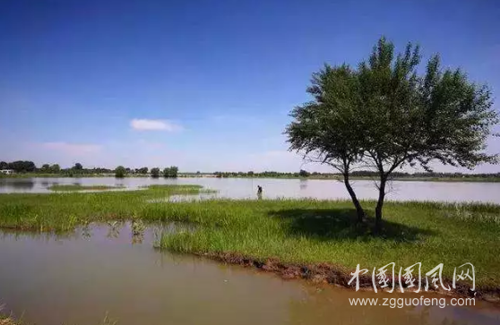 QQ截图20180615191152.png