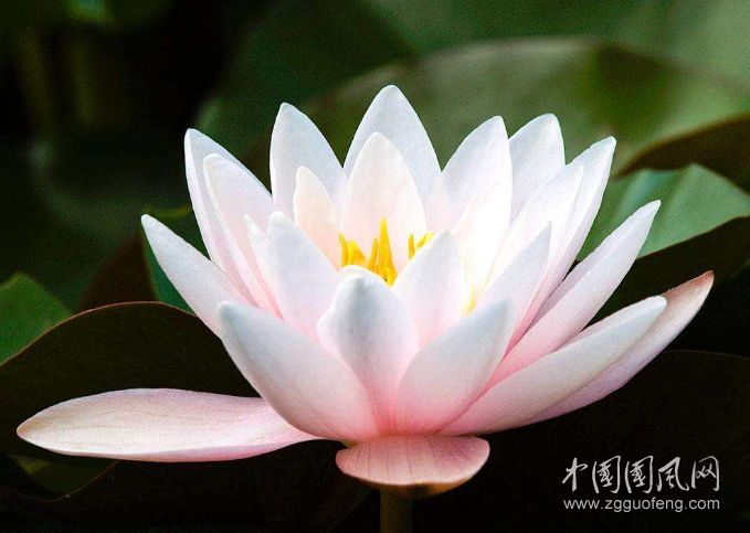 QQ截图20180618193028.png