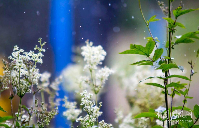  在雨中