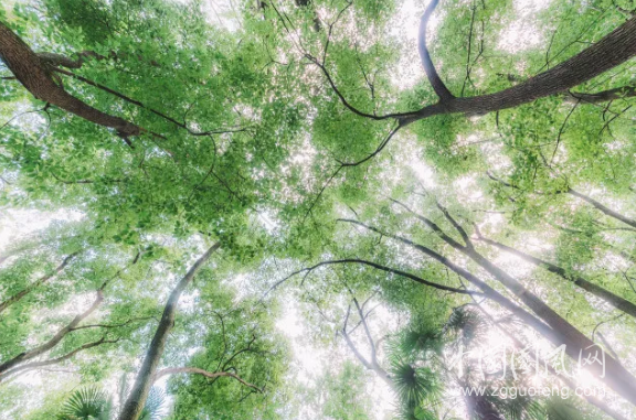 QQ截图20180621200110.png