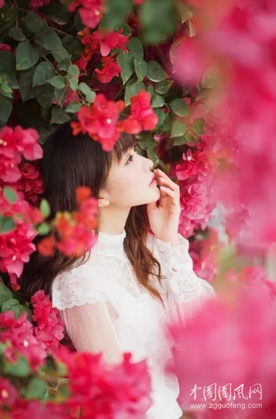 QQ截图20180621194014.png