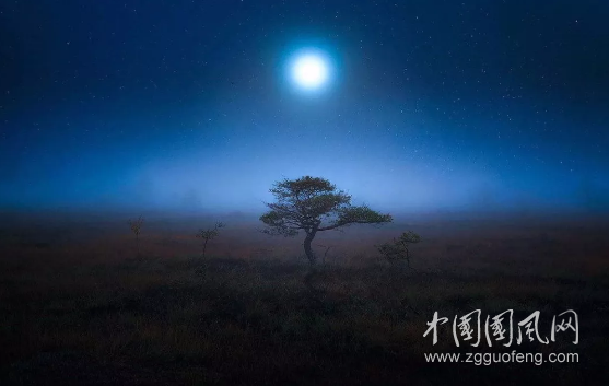 那晚的月亮