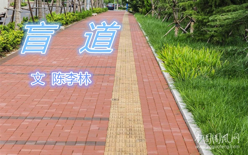 盲道（文  陈李林）