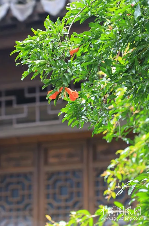  花 未 眠