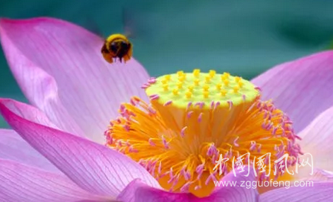 QQ截图20180701192320.png
