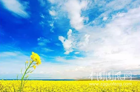 QQ截图20180708192846.png