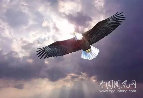 QQ截图20180710191246.png