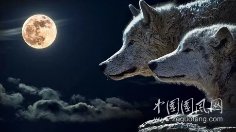 QQ截图20180719161542.png