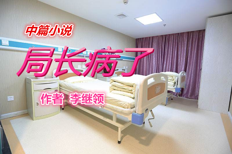  局长病了（中篇小说）【作者  李继领】