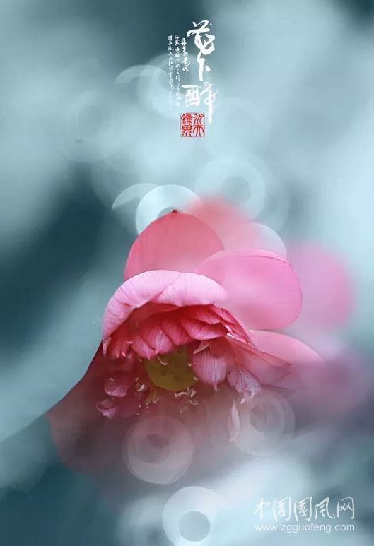 写给秋天，写给你