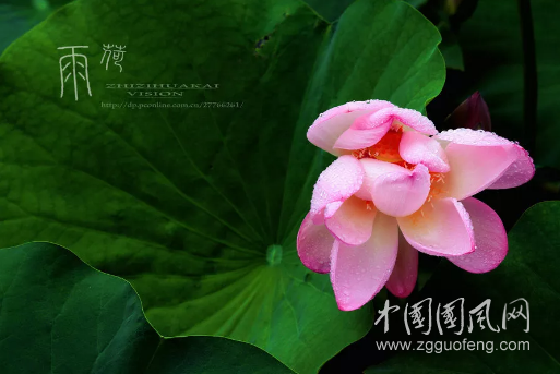 QQ截图20180917181355.png