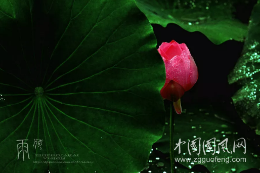 QQ截图20180917181418.png