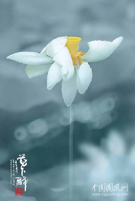 我偏爱