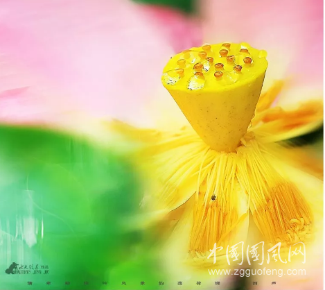 QQ截图20180917181153.png