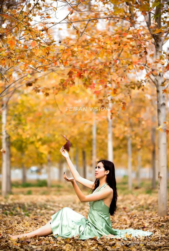 QQ截图20181009182755.png