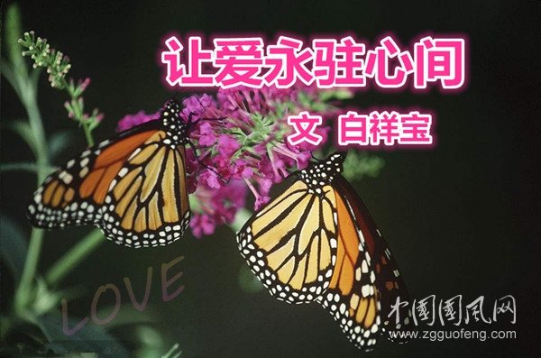让爱永驻心间（文  白祥宝）