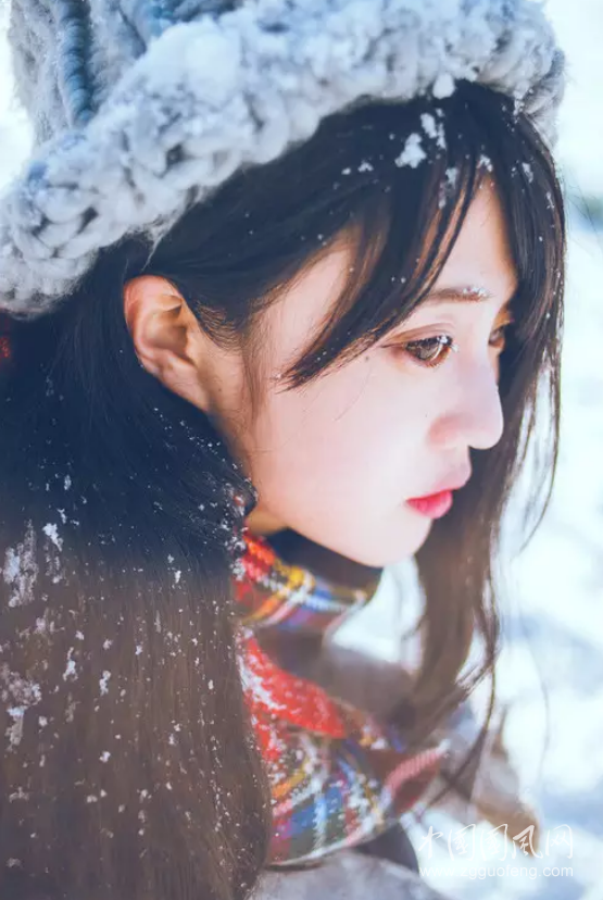 QQ截图20181126162709.png