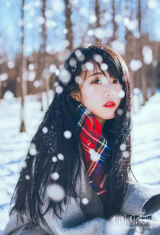 QQ截图20181126162647.png