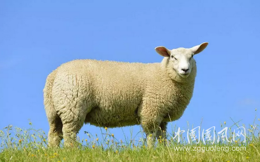 QQ截图20181127161656.png