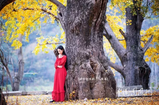QQ截图20181017182424.png
